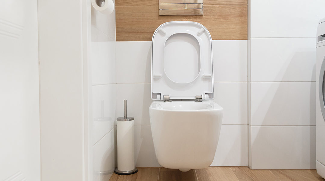 Eight Types of Toilet Flush Systems for Your New Bathroom