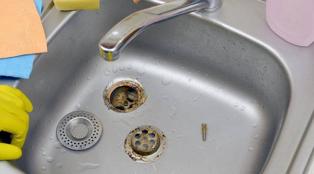 What Causes Black Mold in Sink Drains?