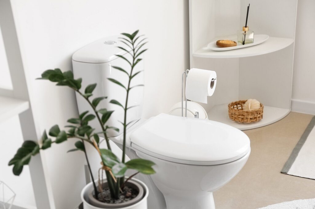 Oro Valley - Toilet Repair