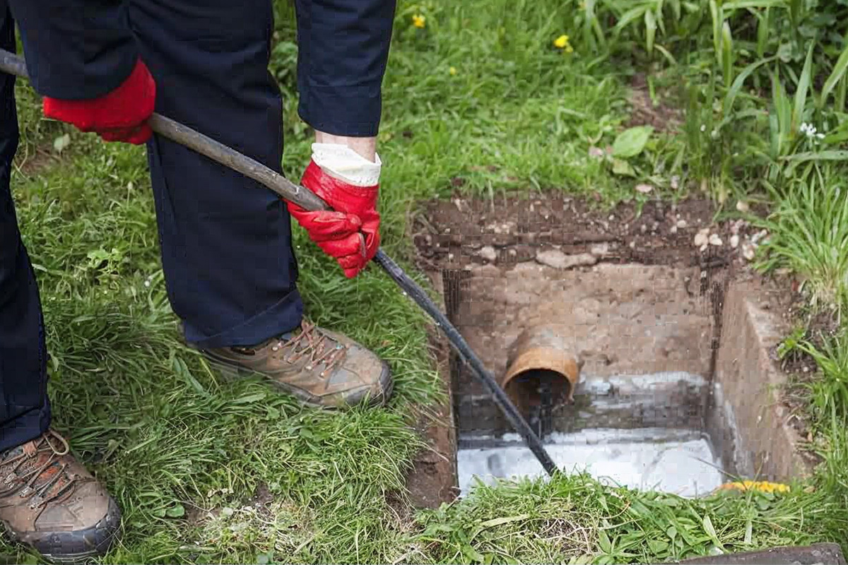 inspecting sewer line on backyard