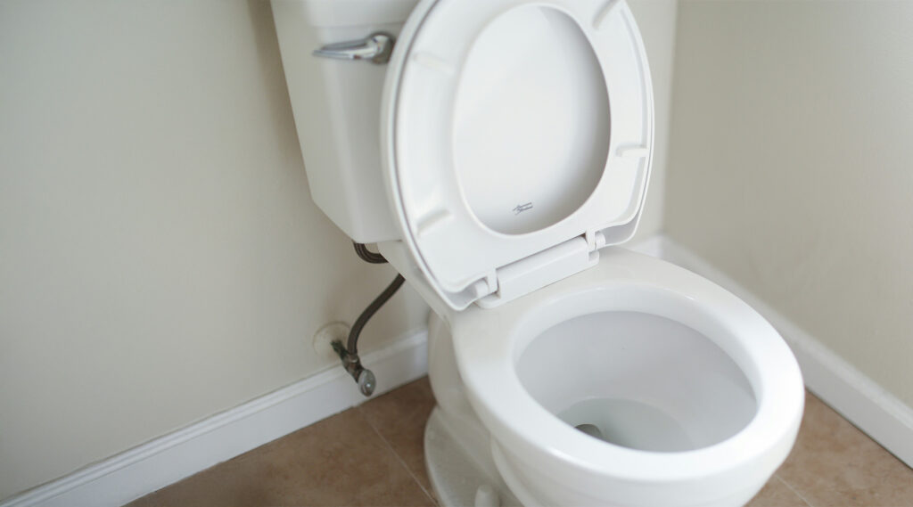 Vail - Toilet Repair